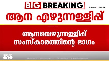 'ആന എഴുന്നള്ളിപ്പ് സംസ്‌കാരത്തിന്‍റെ ഭാഗം, സംസ്കാരം തടയാനുള്ള നീക്കമെന്ന് കരുതുന്നു'