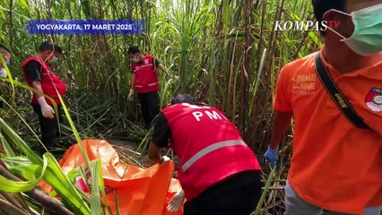 Penemuan Kerangka Manusia di Ladang Tebu Bantul Yogyakarta, Polisi Beberkan Hal Ini