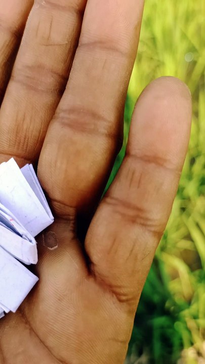 টাকা খরচ না করেই অনেক সুবিধা লাভ করার উপায়