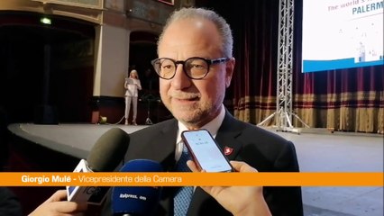 Mulè "Tregua a Gaza instabile, Israele non raccolga provocazioni"