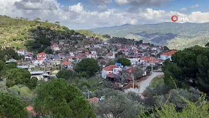 Öz babaları tarafından öldürülen bebekler aynı tabutta taşındı