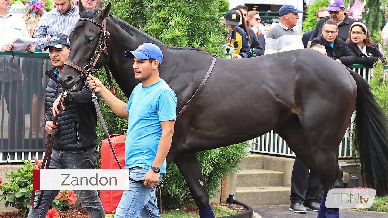 TDN-Three Chimneys Weekend Preview: Travers Week