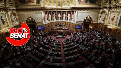 100% Sénat - Artificialisation des sols : le Sénat assouplit l'objectif de réduction