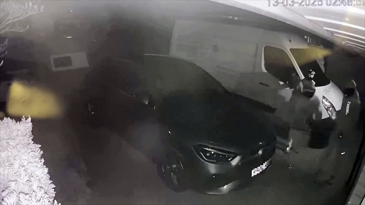 Group captured trying to break into garage