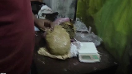 കളമശേരി കഞ്ചാവ് വേട്ട; കഞ്ചാവ് വില്‍പ്പന ആരംഭിച്ചത് ആറുമാസങ്ങള്‍ക്ക് മുന്‍പ്