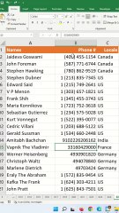 How To Format International Phone Number In Excel - Excel Tips and Tricks