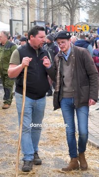 On s’est rendu à la fête des bœufs gras, à Bazas