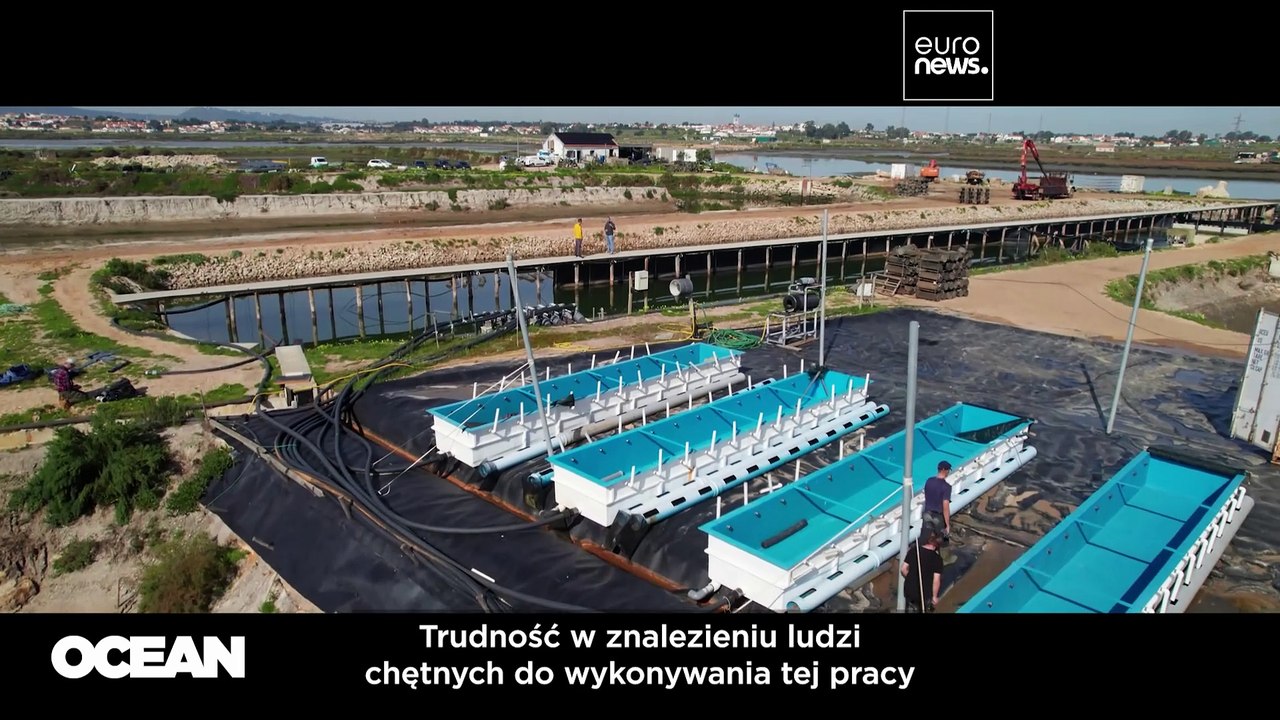 Przemysł morski przyjmuje młodych przestępców: "Każdy zasługuje na drugą szansę"