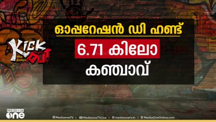 ലഹരിയെ തുരത്താൻ ഓപ്പറേഷൻ ഡി ഹണ്ട്, ഇന്നലെ അറസ്റ്റിലായത് 254 പേർ