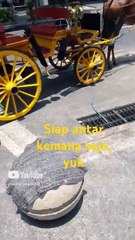 siap antar kemana saja #music #song