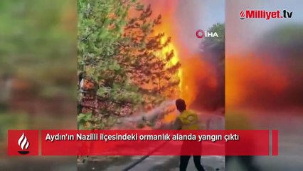 Aydın'da orman yangını! Çok sayıda ekip bölgeye gönderildi