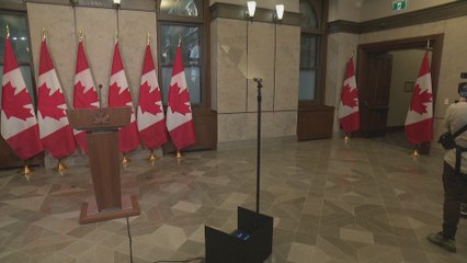 Canadian PM Mark Carney meets with French President Emmanuel Macron