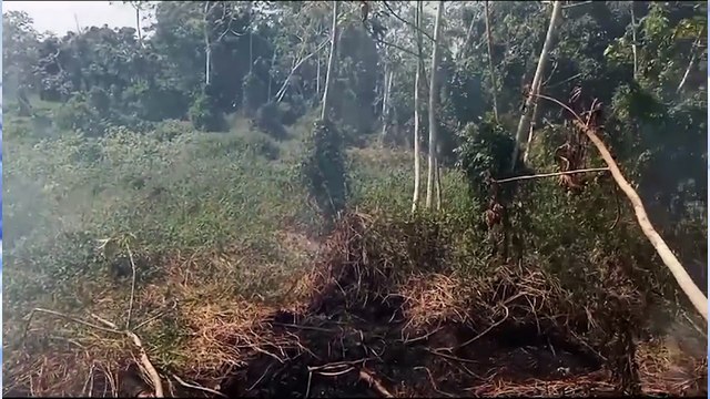 b'INCE?NDIO BREVES 200824'