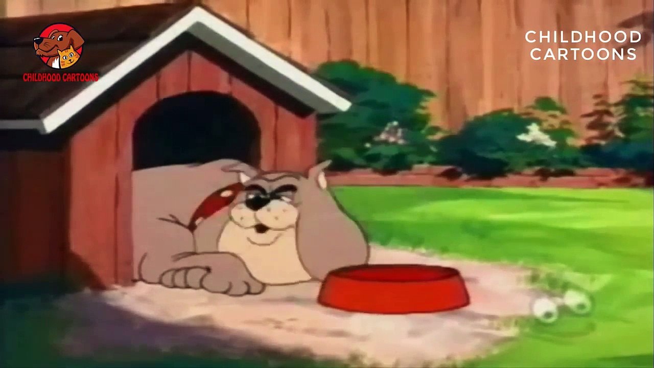 Tom & Jerry | Cosmic Cat and Meteor Mouse