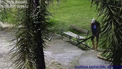 b'Cameras flagram momento em que homem tenta furtar banco da PraÁa Brasil'
