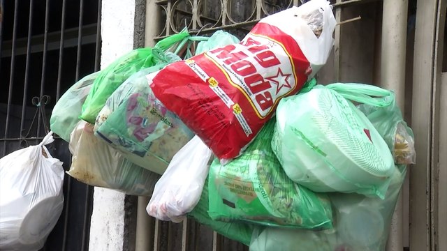 b'Ananindeua: Lixo e animais abandonados tomam as ruas do Paar'