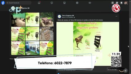 Entrevista - Huertos verticales JM