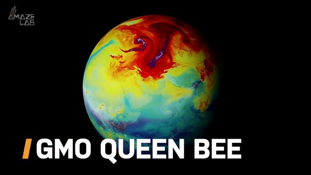 Could This GMO Queen Bee Be The Answer to Our Global Warming Question