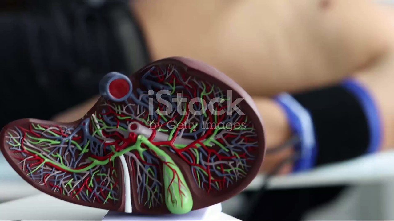 Fatty Liver_ A Silent Health Crisis 2023-12-27
