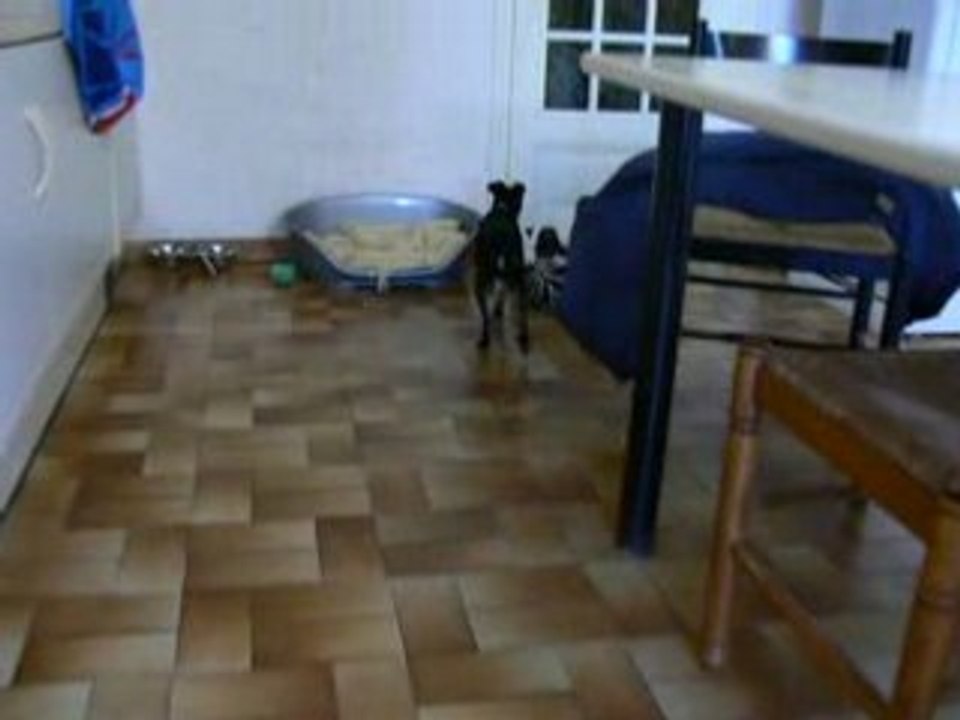 Images cooper