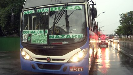 b'Sute atropelamento nibus'