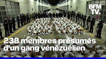 Donald Trump ordonne l’expulsion de 238 membres d’un gang vénézuélien en invoquant une loi de 1798