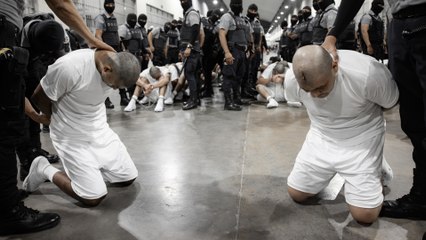 Trump hace caso omiso a las órdenes de los tribunales para las deportaciones y cruza otra línea roja