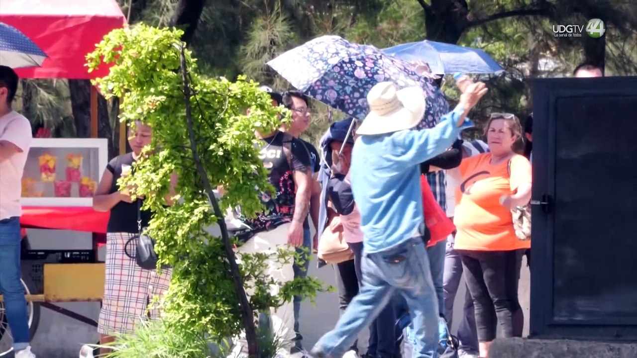 La primavera trae consigo aumento de enfermedades gastrointestinales y varicela