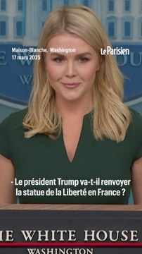 « C'est grâce aux USA que les Français ne parlent pas allemand »