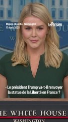 « C'est grâce aux USA que les Français ne parlent pas allemand »