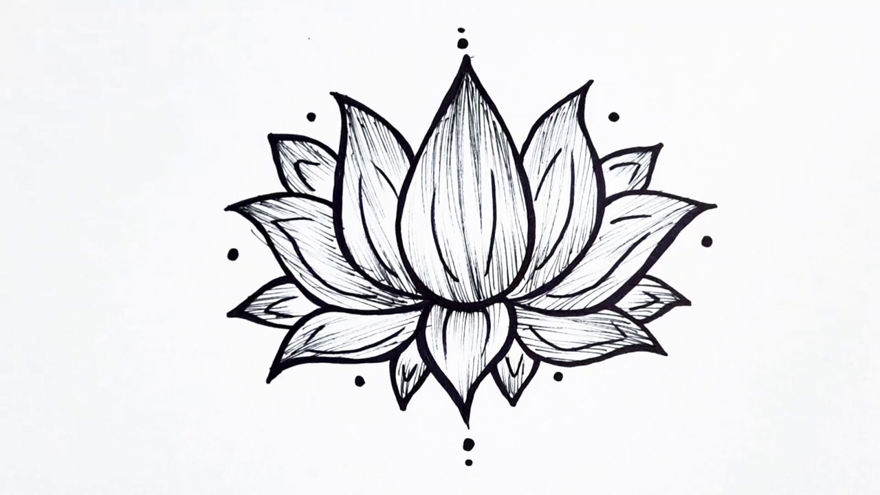 How to draw a flower easy step by step __ Lotus flower drawing