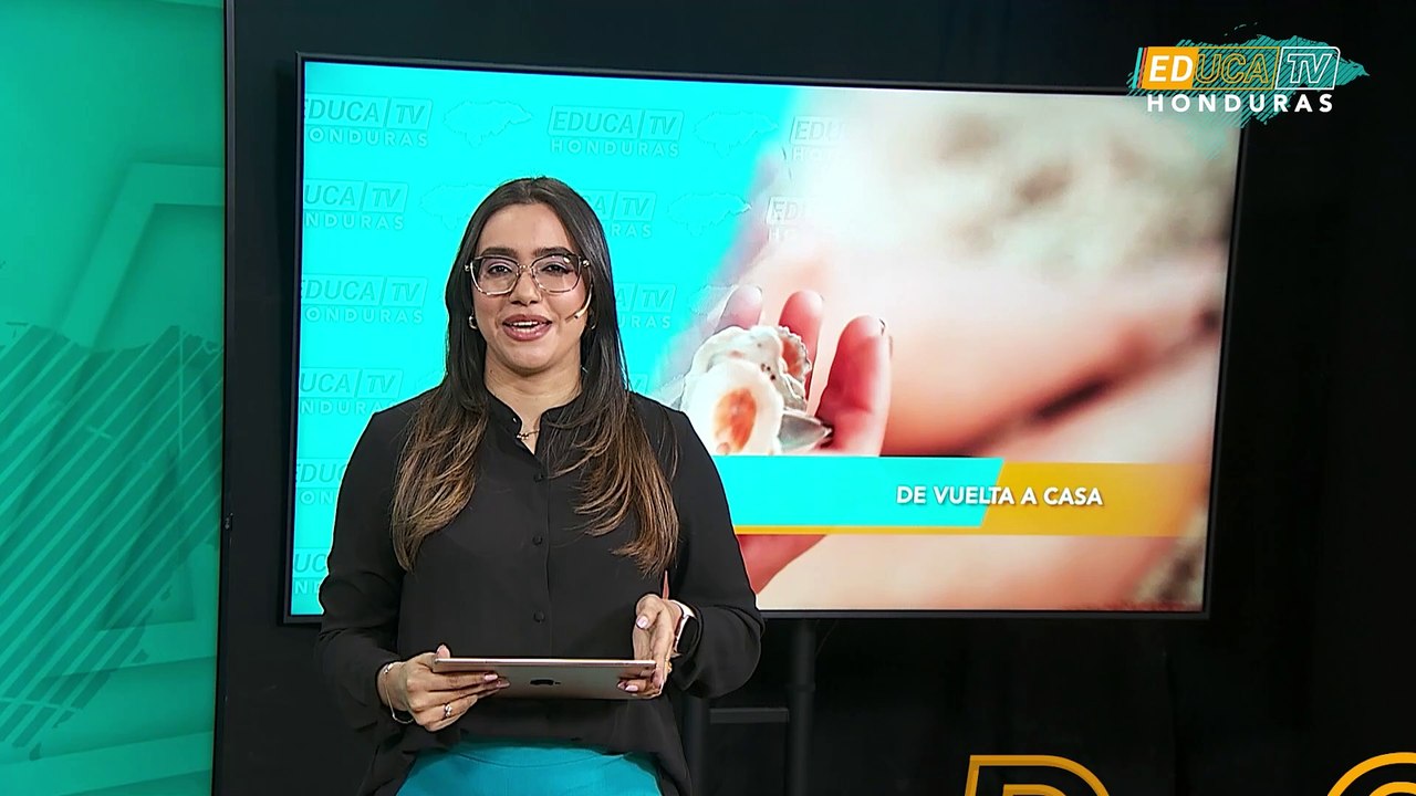 5. DE VUELTA A CASA