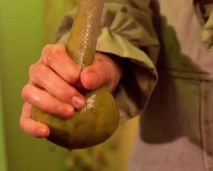 Natural Wonders! Unique Projects Using Organic Materials!