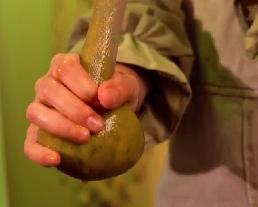 Natural Wonders! Unique Projects Using Organic Materials!