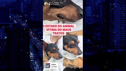 b'PRESO_CASO_CACHORRO___SEM_GC_01_04_22_-_SANCHA.mp4'