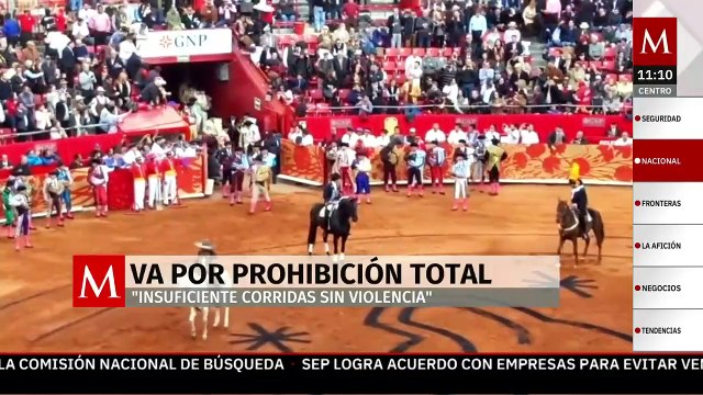 Insuficiente : Moreira rechaza corridas de toros sin violencia y va por prohibición total