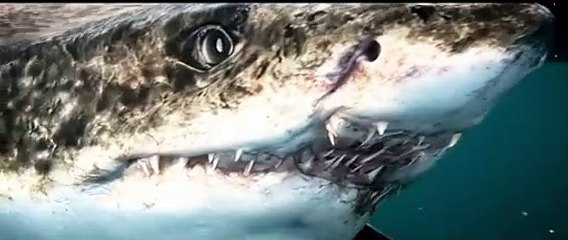 The Meg 3- Primal Depths - First Trailer (2026) - Jason Statham (HD)