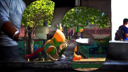 PG SOLUCIONES T5 C12