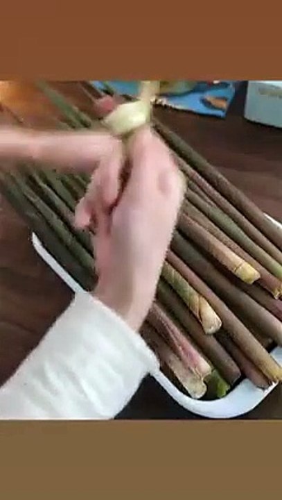 Katzen-Sprungkünste in Aktion! 20250317