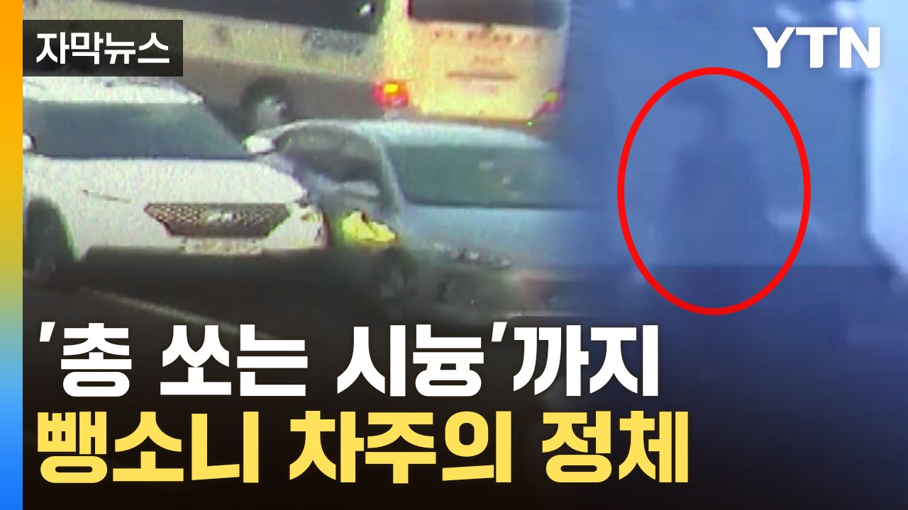 [자막뉴스] 피해자에게 '총 쏘는 시늉'까지...무면허 뺑소니 차주의 정체 / YTN