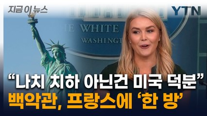 '자유의 여신상' 반환 요구에 백악관 "美 덕분에 프랑스 '독일어' 안 써" [지금이뉴스] / YTN