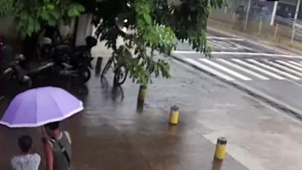 b'Crime  registrado em via movimentada de Belm'