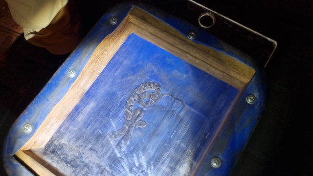 Sogra? Não, eu disse cobra! Cobra Cascavel é encontrada no Belmonte