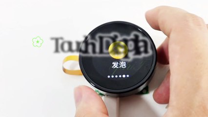 Touch Display Module (2)