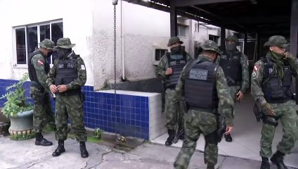 b'Polcia apreende 60 animais usados em rinha de galo'