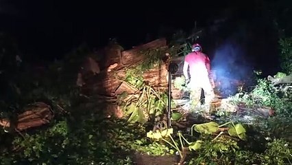 b'Bombeiros resgatam vtimas aps queda de rvore no Sideral'