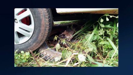 b'Acidente com 2 mortes em Altamira'