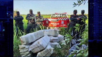 b'PM apreende 500 quilos de drogas em Santarm  '