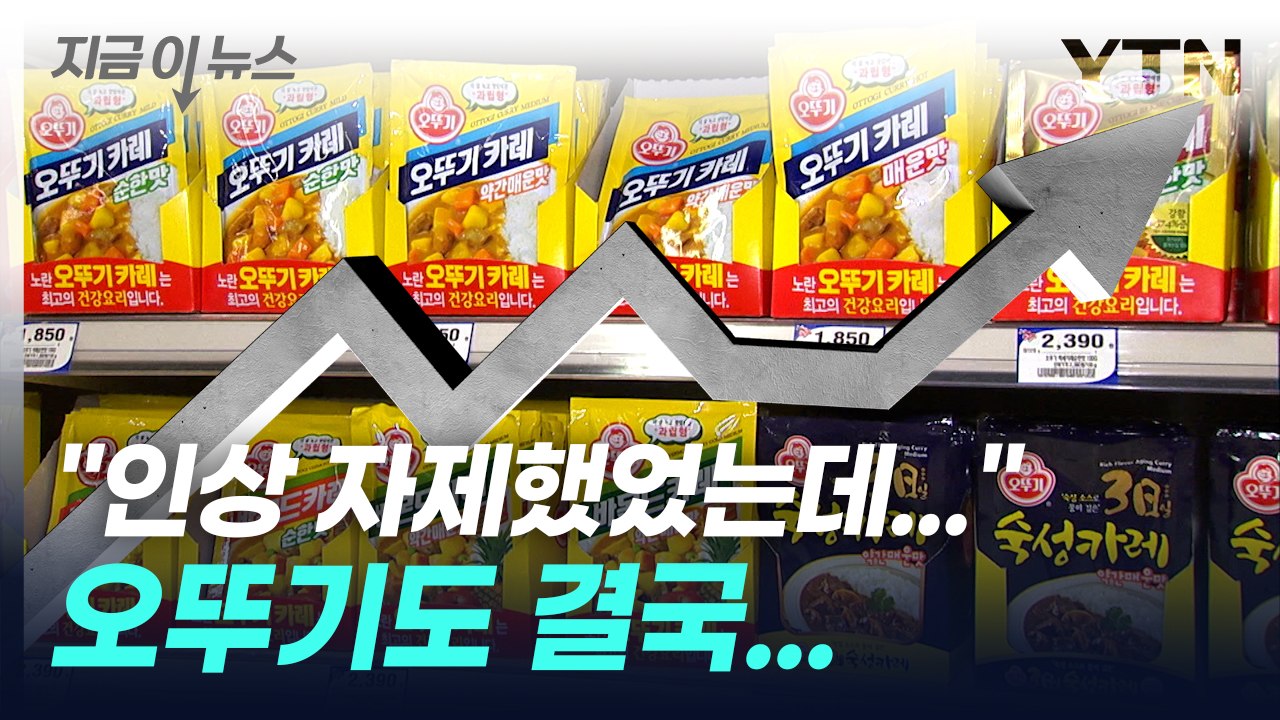 "인상 자제했었는데..." 오뚜기도 면치 못한 가격 인상 [지금이뉴스] / YTN