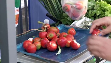 b'AgroFeira expe produtos do Crio'